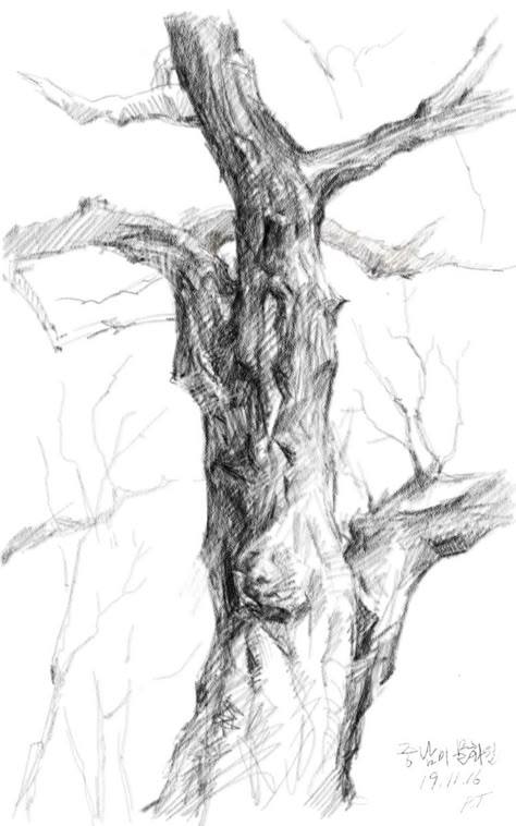 Pencil Landscape Drawings, Art Ideas Pencil, Tree Trunk Drawing, Tree Pencil Sketch, Pencil Landscape, Branch Drawing, Drawing Trees, Tree Drawings, Tree Sketch