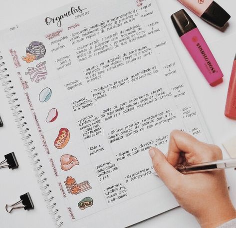 Cute biology notes on organisms; #studygram #studyblr Handwriting Aesthetic, Studying Biology, Post Novo, Studie Hacks, Note Taking Tips, College Notes, Aesthetic Notes, Nursing School Notes, Medical School Studying