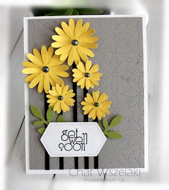 Happy Birthday Gorgeous, Daisy Cards, Stampin Up Catalog, Paper Crafts Origami, Daisy Flowers, Get Well Cards, Get Well Soon, Little Flowers, Paper Crafts Cards