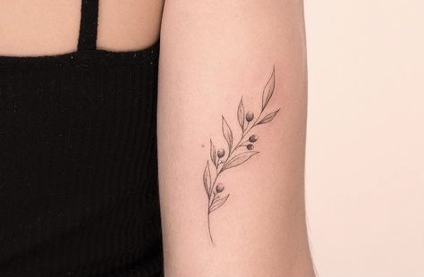 Olive Branch Tattoo With Name, Feminine Olive Branch Tattoo, Olive Branch Tattoo Dainty, Vine Branch Tattoo, Branch And Vine Tattoo, Olive Branch Tattoo Ideas, Olive Branch Bracelet Tattoo, Olive Branch Tattoo Back Of Arm, Delicate Olive Branch Tattoo Simple