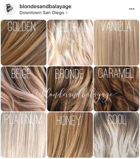 Hair Color Scale, Neutral Blonde Hair Color, Neutral Blonde Hair, Blonde Hair Color Chart, Different Shades Of Blonde, Neutral Blonde, Hair Color Chart, Honey Blonde Hair, Ash Blonde Hair