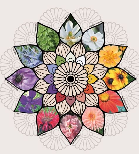 Plant Mandala, Sanctuary Garden, Garden Therapy, Mandala Meditation, Practice Mindfulness, Prayer Plant, Colors And Emotions, Healing Space, The Senses