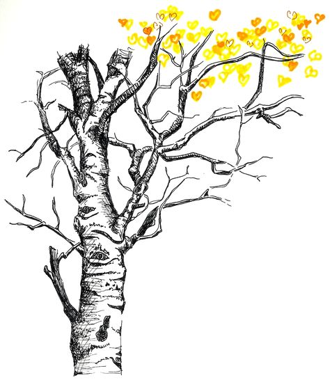 another aspen sketch Aspen Tree Drawing, Sketches Nature, Tree Line Drawing, Tree Drawing Simple, Camping Tattoo, Aspen Art, Tree Tattoos, Arte Ninja, Aspen Tree