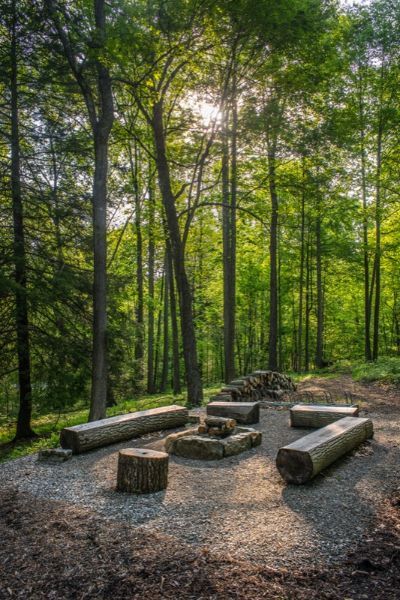 Hipcamp Ideas, Outdoor Fire Pit Designs, Fire Pit Area, Fire Pit Designs, Forest Garden, Backyard Fire, Woodland Garden, Fire Pit Backyard, Forest Landscape