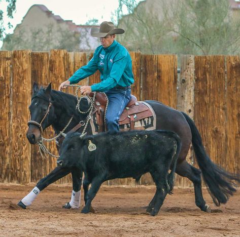 Reined Cow Horse, Horse Safety, Western Pics, Mustang Makeover, Horse Lifestyle, Western Horseman, Working Cow Horse, Ranch Horses, Ranch Horse