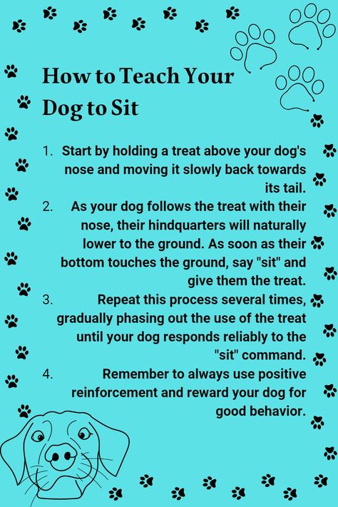 Teaching your dog to sit may take time and patience, but it's a valuable skill that will benefit both you and your furry friend in the long run. Happy training! Dog Training Basics, Commands For Dogs, Obedience Training For Dogs, Puppy Training Schedule, Chaotic Energy, Dog Behavior Training, Dog Wellness, Notes Ideas, Special Friends