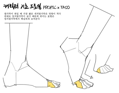 Feet Drawing, Taco Taco, Concept Drawing, Anatomy Tutorial, Manga Drawing Tutorials, Body Reference Drawing, Drawing Studies, 캐릭터 드로잉, Body Anatomy