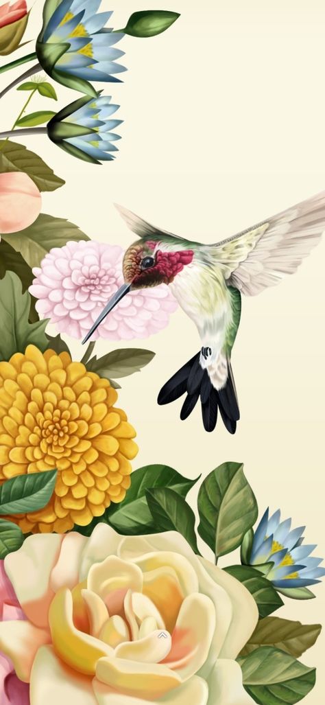 Hummingbird Iphone Wallpaper, Hummingbird Wallpaper Iphone, Bird Phone Wallpaper, Hummingbird Aesthetic, Phone Wallpaper Spring, Disco Wallpaper, Hummingbird Wallpaper, Time Wallpaper, Mother Dearest