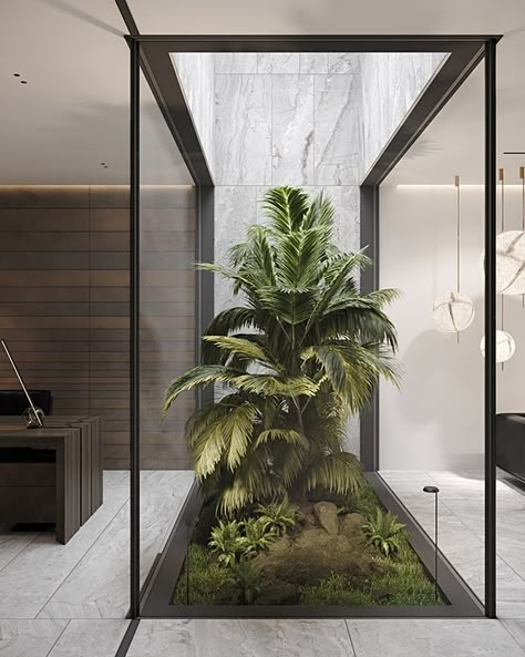 Plant Office, Indoor Landscape, Interior Courtyard, Atrium Design, Indoor Courtyard, Patio Courtyard, Casa Country, Courtyard Design, Internal Courtyard