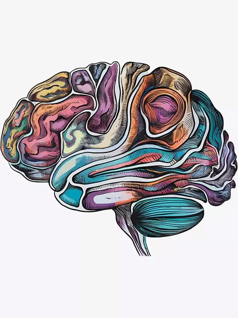 "Abstract Brain Art - Human Brain Anatomy Illustration" Sticker for Sale by WatermelonPink | Redbubble Human Brain Illustration, Brain Drawing Reference, Mind Art Brain Illustrations, Cerebro Dibujo, Brain Wallpaper, Brain Aesthetic, Brain Artwork, Alex Tattoo, Human Brain Anatomy