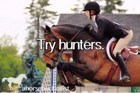 I entered a hunter show, it's the only show I've done thus far but I was fun even though I didn't place. Hunter Jumper Aesthetic, Hunter Jumping, Horses Aesthetic, Xc Running, Hunter Jumper Horses, Show Jumping Horses, Horse Photographer, English Horse, Horse Posters