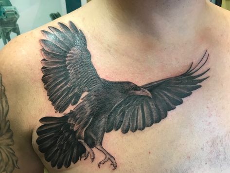 By Makeba at Cactus Tattoo, Mankato MN. Crow Tattoos, Mankato Mn, Cactus Tattoo, Skull Sleeve Tattoos, Skull Sleeve, Dove Tattoo, Crow Tattoo, Trash Polka Tattoo, Raven Tattoo