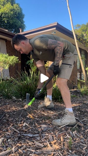 Total Home Handyman on Instagram: "Watch me turn this overgrown and neglected front yard into a beautiful Aussie native #naturescape 🍃☀️

Landscaping Australian style gardens would have to be my absolute favourite, and why not!? They look incredible and are very easy to maintain.

Full reveal coming soon stay tuned 😍" Native Garden Landscaping, Australian Native Garden Landscaping, Front Yard Landscaping Australian, Coming Soon Stay Tuned, Australian Native Garden, Australian Style, Australian Garden, Native Garden, Australian Native