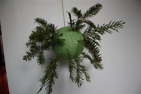 DIY kissing ball using fresh greenery..would be cute on a front porch where summer flowers would have hung... Diy Kissing Ball, Kissing Balls, Kissing Ball, Christmas Pots, Xmas Deco, Christmas Greenery, Xmas Wreaths, Holiday Crafts Christmas, Christmas Flowers