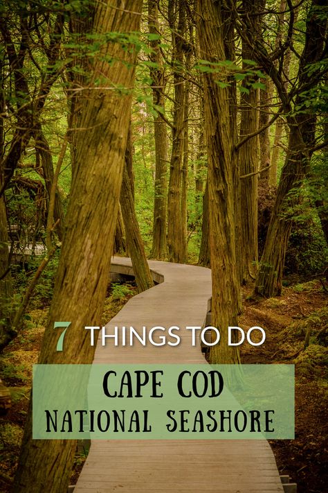 Best things to do at the Cape Cod National Seashore in Massachusetts