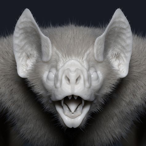 Vampire Bat, COLIN SHULVER on ArtStation at https://www.artstation.com/artwork/0nXX3G Vampire Bat Photography, Bat Nose Drawing, Bat Mouth Open, Vampire Bat Reference, Bat Face Art, Bats Artwork, Bat Face Drawing, Vampire Bat Drawing, Vampire Bat Face