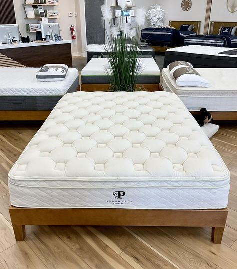 Brand NEW in store! The Savvy Bliss Mattress… sold exclusively at Cloud Mattress Co. Experience unparalleled comfort with the 12" Savvy Bliss Mattress, expertly crafted to ensure luxurious sleep every night. Featuring advanced pressure-relieving materials and an innovative design, this mattress provides exceptional support, temperature regulation, and pressure relief, allowing you to wake up refreshed and rejuvenated each morning. Visit Cloud Mattress today! Nashville’s Favorite Sleep & Li... Luxury Sleep, Wake Up Refreshed, Label Tag, Healthy Sleep, Mattress Store, Innovative Design, Thing 1 Thing 2, Better Sleep, Innovation Design