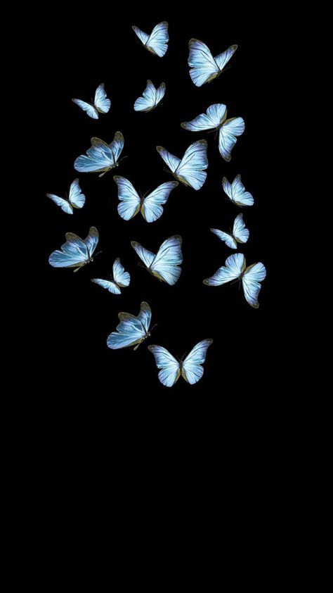 Like a wing beat away ...🥀👀 Whats Wallpaper, Red Background Images, Black And White Art Drawing, Butterfly Wallpaper Iphone, Blue Wallpaper Iphone, A Wing, Wallpaper Iphone Disney, Phone Wallpaper Images, Simple Wallpapers