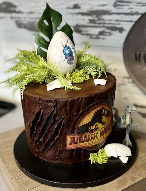 Jurassic World Cakes, Jurassic World Cake Simple, Jurassic Park Cake Ideas, Jurassic World Dominion Cake, Jurassic Park Cake Birthdays, Camp Cretaceous Cake, Jurassic World Cake Ideas, Pastel Jurassic World, Bolo Jurassic World