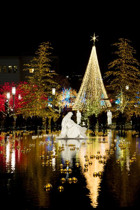 Salt Lake City Temple Square Christmas Lights Outdoor Christmas Light Projector, Temple Square Christmas, Christmas Light Projector, Salt Lake City Temple, Season Aesthetic, Decorations Bedroom, Christmas Tree Pictures, Diy Christmas Lights, Disney World Christmas