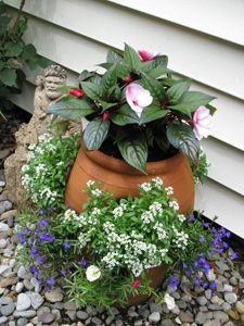 Pot Hias, Strawberry Pot, Strawberry Planter, Strawberry Pots, Helping Each Other, Strawberry Planters, Potted Plants Outdoor, نباتات منزلية, Container Ideas