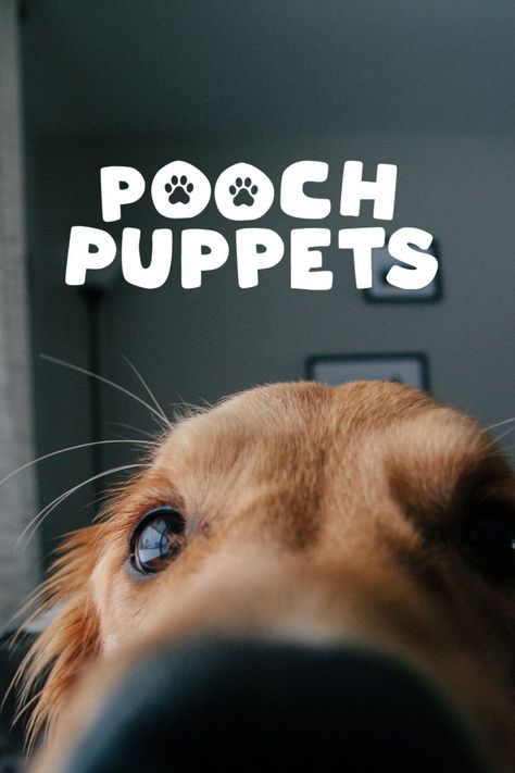 Pooch Puppets Brand Identity Pet Branding Design Logo, Pet Brand Logo, Dog Logo Design Brand Identity, Pet Shop Brand Identity, Dog Hotel Logo Design, Dog Brand, Identity Logo Design, Brand Identity Logo, Dog Branding