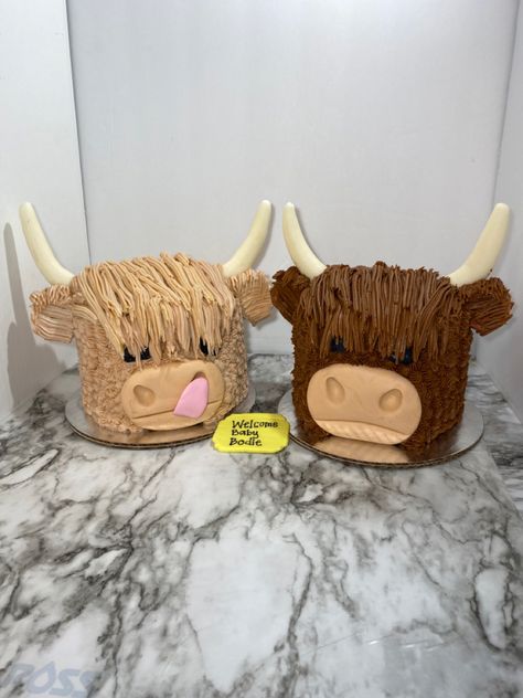 My First Rodeo Birthday Cake Smash, Cow Cakes For Boys, Cow Themed Birthday Cake, Highland Cake, Hyland Cow Smash Cake, Bull Birthday Cake, Bull Smash Cake, Highland Cow Smash Cake, Cow Face Cake