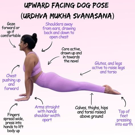 Welcome back to our How to Yoga post series! Today, we’re diving into the Upward Facing Dog pose. This powerful backbend opens the chest and strengthens the spine. Ready to give it a try? - If you experience lower back discomfort, keep a slight bend in your elbows. - Focus on lifting your chest rather than pushing your shoulders up to avoid tension in the neck. **Show us your Upward Facing Dog!** 🐶✨ Tag us in your posts :) Namaste 🙏 . . #UpwardFacingDog #UrdhvaMukhaSvanasana #YogaPose #Yog... How To Yoga, Yoga Post, Upward Facing Dog Pose, Upward Facing Dog, Dog Poses, Yoga Therapy, Daily Yoga, Yoga Life, Show Us