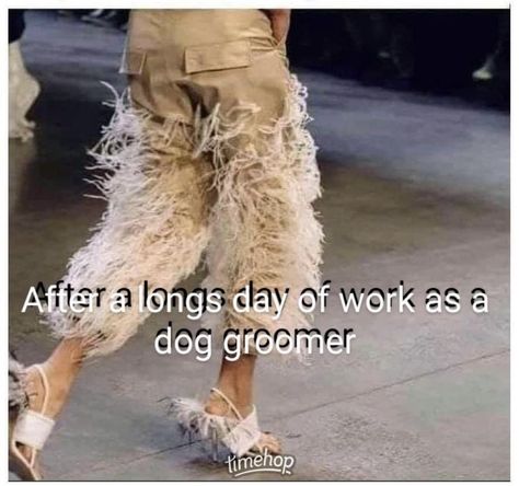 Groomer Humor, Funny Dog Grooming Quotes, Groomer Quotes, Dog Grooming Memes, Dog Groomer Humor, Animal Lover Quotes, Dog Grooming Shop, Dog Grooming Salons, Grooming Shop