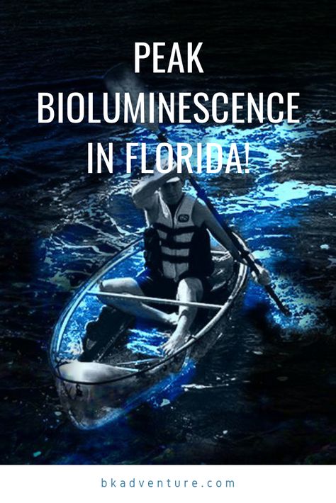 Peak season for bioluminescent Florida kayaking is upon us! The glowing water has been reported as a breathtaking 10/10 this year!!! Bioluminescence Water, Costa Rica Bioluminescent, Coco Beach Florida, Florida Kayaking, Cocoa Beach Florida Bioluminescence, Bioluminescence Florida, Bioluminescence Swimming, Bioluminescence Kayaking Florida, Cocoa Beach Florida