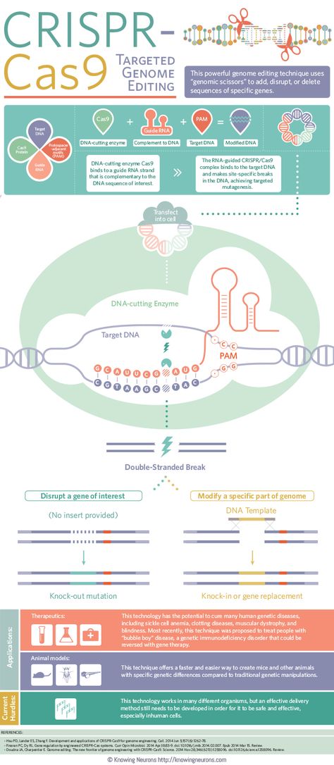 Crispr Cas9, Science Infographics, Genetic Counseling, Biology Classroom, Ap Biology, Biomedical Science, Biology Lessons, Teaching Biology, Biology Notes