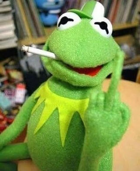 Kermit The Frog Memes, Bird Meme, Kermit Memes, Kermit Funny, Frog Pictures, Meme Pics, The Muppet Show, Kermit The Frog, The Muppets