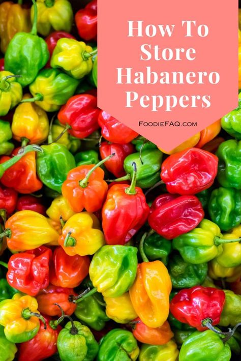 How To Can Habanero Peppers, How To Pickle Habanero Peppers, Recipes For Habanero Peppers, Preserve Habanero Peppers, Fresh Habanero Recipes, Canning Habanero Recipes, How To Preserve Habanero Peppers, Preserving Habanero Peppers, What To Do With Habanero Peppers