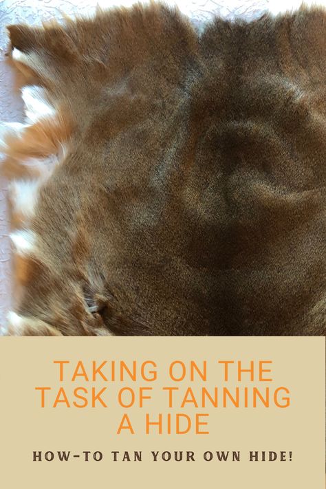 Tan Hide Diy, Tanning A Deer Hide, Deer Hide Tanning Diy, How To Tan A Hide, Hide Tanning Diy, How To Tan Deer Hide, Tanning Animal Hides, How To Tan A Cowhide, Tanning Hides Diy