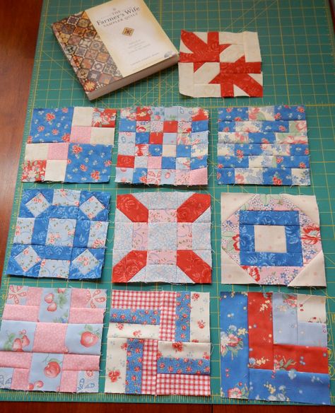 laugh yourself into Stitches*: The Farmer's Wife Quilt Revival Class 8 now available! Flower Quilt Patterns, Farmers Wife Quilt, Farmers Wife, Farmer Wife, Flower Quilt, Patchwork Quilt Patterns, Sampler Quilt, Pattern Store, Girls Quilts