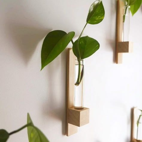 Test Tube Planter, Floating Shelves Decor, Tube Planter, Plant Obsession, Tiny Vase, Test Tube Vase, Wall Planters Indoor, Shelves Decor, نباتات منزلية