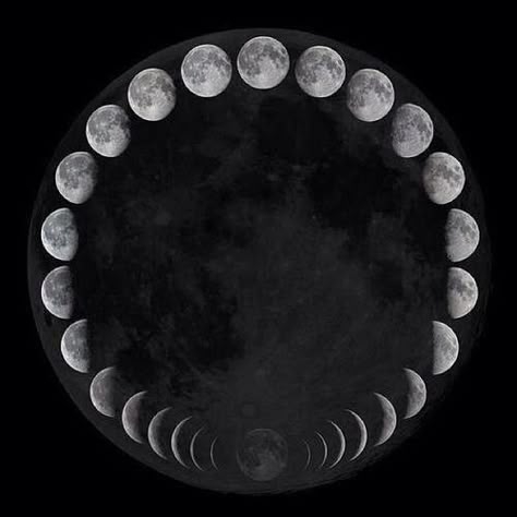 One complete lunar cycle- This is a project I've always wanted to do.. get a shot of the moon during each stage of its cycle :-) You Are My Moon, Lunar Phase, Phases Of The Moon, Lunar Cycle, Moon Cycles, Moon Magic, A Circle, Moon Child, New Moon