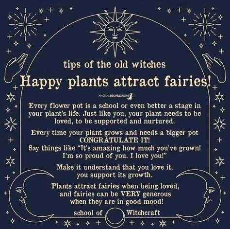 How To Attract Fairies, Fairy Offerings, Attract Fairies, Magical Recipes, Cottagecore Ideas, Lucky Plant, New Moon Rituals, Witch Spirituality, Witch Stuff