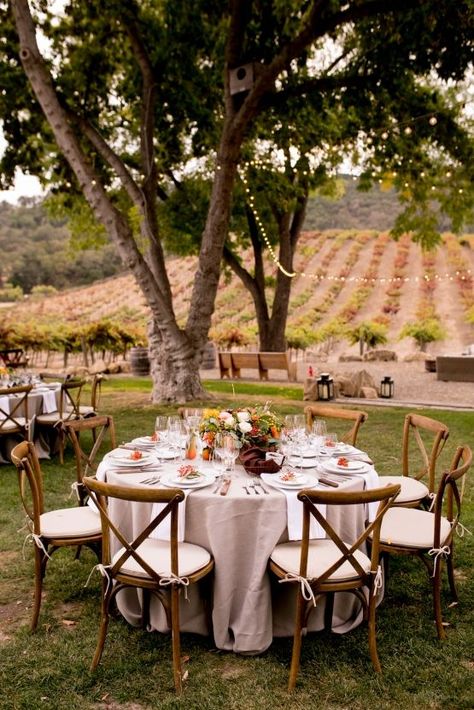 Wine Vineyard Wedding, Vineyard Wedding Decor, Vineyard Wedding Reception, Outdoor Rustic Wedding, Vineyard Wedding Dress, Vineyard Wedding Inspiration, Wedding In California, Barn Wedding Decorations, Rustic Wedding Inspiration