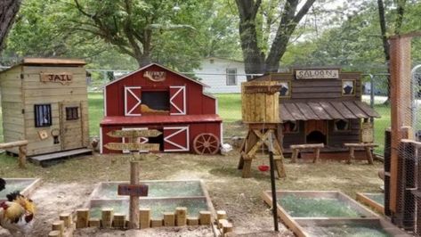 Chicken coup Chicken Houses, Old Western Towns, Cute Chicken Coops, Small Chicken Coops, Portable Chicken Coop, Diy Chicken Coop Plans, Backyard Chicken Farming, Old Western, Best Chicken Coop