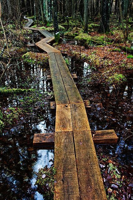 Wood Walkway, Wooden Walkways, Traditional Landscape, The Walk, Nature Trail, Garden Paths, Walkway, The Cool, New Hampshire