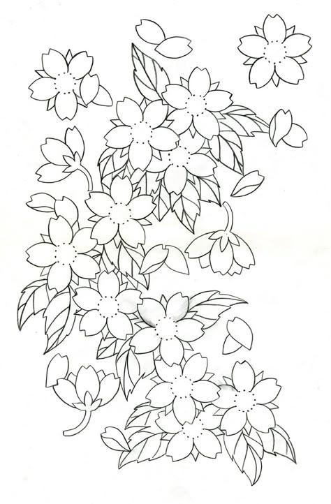 Cherry Blossom Tattoo Designs | Cherry Blossoms. Cherry Blossom Outline, Crisantemo Tattoo, Cherry Blossom Drawing, Flower Tattoo Stencils, Japanese Flower Tattoo, Japanese Drawings, Japanese Tattoos, Flower Outline, Tattoo Stencil Outline