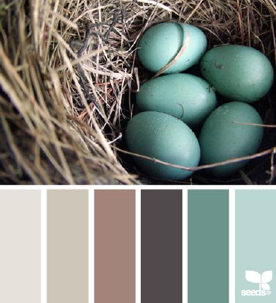 Nested hues                                                                                                                                                      More Blue Eggs, Exterior Paint Colors For House, Color Palate, Design Seeds, Color Balance, Exterior Paint Colors, Decor Minimalist, Paint Colors For Home, Color Stories