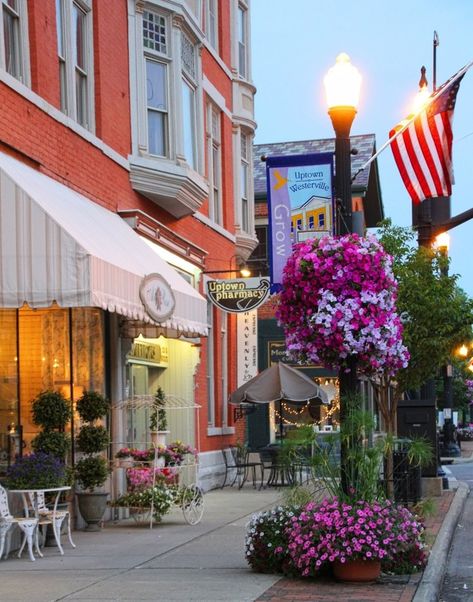 Baskets Of Flowers, Westerville Ohio, Small Cities, City Flowers, State Capitals, A Park, Capital City, Image Photography, Weekend Getaways