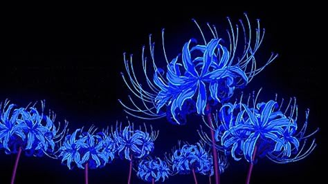 Blue Spider Lily, Dark Blue Aesthetic, Blue Aesthetic Dark, Spider Lily, Blue Core, Blue Anime, Blue Theme, Aesthetic Blue, Blue Hour