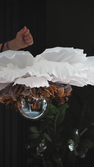 Sandra Eggesten on Instagram: "🤍 . 🤍 . 🤍 . 🤍 . 🤍 . 🤍 . 🤍 . 🤍 . 🤍 . #designvvv #art #artist #papercrafts #paperflower #makeityourself #femaleartist #process #makehomeyours #makehomematter #lampshadesdesign #lampdesign #lampshade #artofinstagram #paperflowerinspiration #makeyourdreamscometrue #makelampshades #papercraft #flowers #paper #design" Flower Lamp Shade, Feather Chandelier, Flower Chandelier, Lampshade Designs, Flower Lamp, Flowers Paper, Diy Lamp Shade, Giant Flowers, Diy Lamp