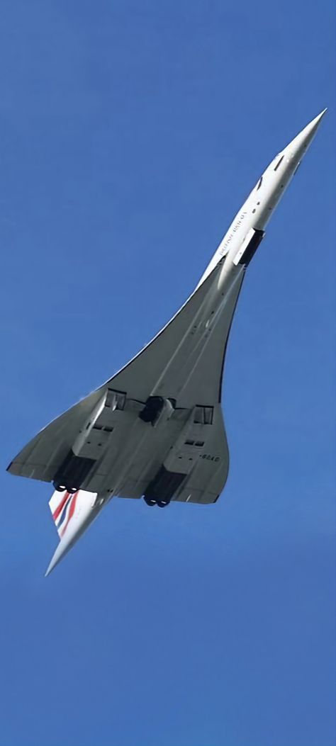 Concord Jet, Concorde Plane, Commercial Plane, Airplane Wallpaper, Airplane Flying, British Aircraft, Aviation Photography, Commercial Aircraft, Civil Aviation