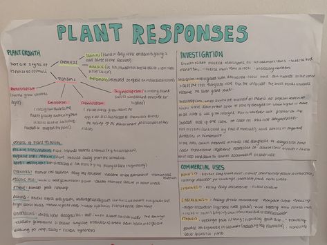 A level biology revision plant responses #study #school #biology #alevels A Level Biology Revision, Biology Revision, Handwriting Ideas, School Biology, A Level Biology, Study Biology, College Notes, Revision Notes, Biology