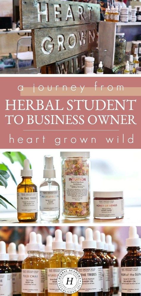 Starting An Apothecary Business, Herbal Products To Sell, Herbal Capsule Recipes, Apothecary Business Ideas, Herb Farm Business, Herbal Store Ideas, Herbal Shop Ideas, Herbal Business Ideas, Herb Business Ideas