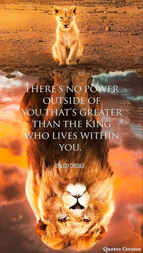 God Bless Your Day, Lion Motivation, Lion King Quotes, Lion Of Judah Jesus, Lion Quotes, Jesus Prints, Jesus Christ Artwork, Christ Quotes, Bible Quotes Images